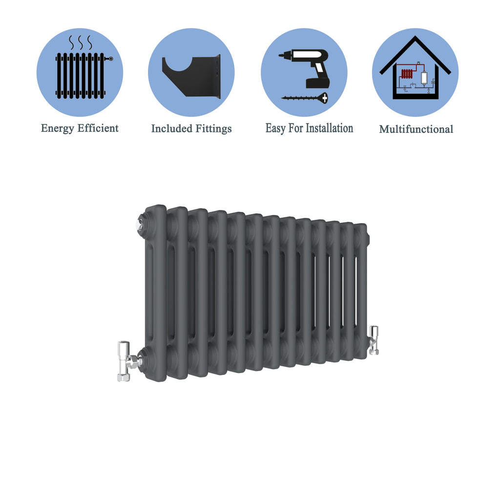 Aver-Growth- Traditional Horizontal 300x605mm 2 Columns Anthracite Cast Iron Radiator