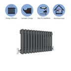 Aver-Growth- Traditional Horizontal 300x605mm 2 Columns Anthracite Cast Iron Radiator