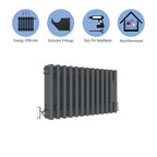 Aver-Growth- Traditional Horizontal 300x605mm 3 Columns Anthracite Cast Iron Radiator