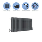 Aver-Growth- Traditional Horizontal 300x830mm 3 Columns Anthracite Cast Iron Radiator