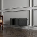 Aver-Growth- Traditional Horizontal 300x830mm 3 Columns Black Cast Iron Radiator