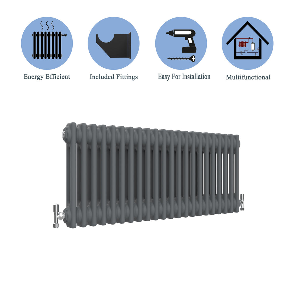 Aver-Growth- Traditional Horizontal 300x1010mm 2 Columns Anthracite Cast Iron Radiator