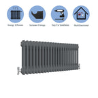 Aver-Growth- Traditional Horizontal 300x1010mm 2 Columns Anthracite Cast Iron Radiator