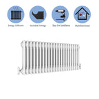 Aver-Growth- Traditional Horizontal 300x1010mm 2 Columns White Cast Iron Radiator