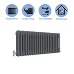 Aver-Growth- Traditional Horizontal 300x1010mm 3 Columns Anthracite Cast Iron Radiator
