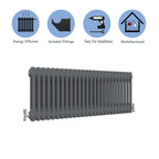 Aver-Growth- Traditional Horizontal 300x1190mm 2 Columns Anthracite Cast Iron Radiator