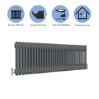 Aver-Growth- Traditional Horizontal 300x1460mm 2 Columns Anthracite Cast Iron Radiator
