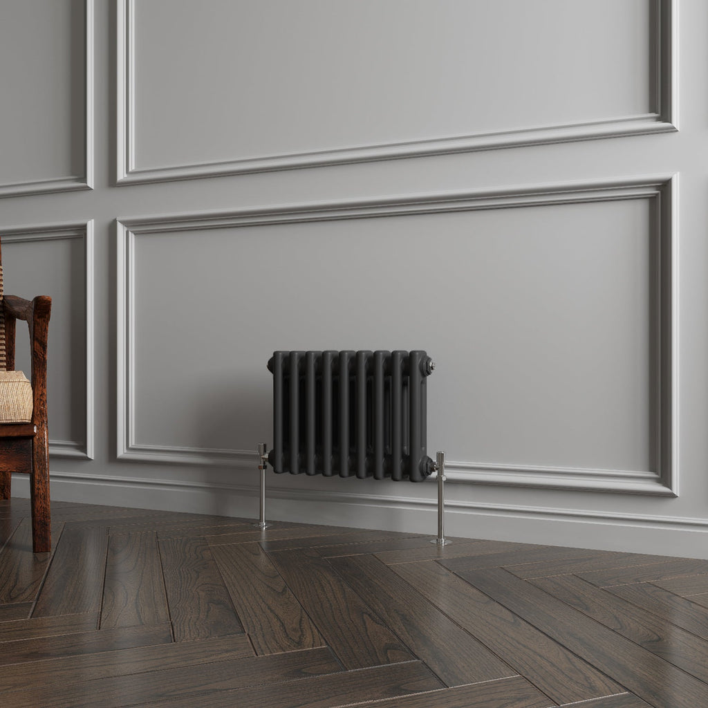 Aver-Growth- Traditional Horizontal 300x425mm 2 Columns Black Cast Iron Radiator