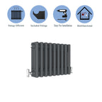Aver-Growth- Traditional Horizontal 300x425mm 3 Columns Anthracite Cast Iron Radiator