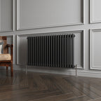 Aver-Growth- Traditional Horizontal 600x1010mm 2 Columns Black Cast Iron Radiator