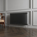 Aver-Growth- Traditional Horizontal 600x1010mm 2 Columns Black Cast Iron Radiator