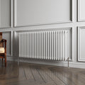 Aver-Growth- Traditional Horizontal 600x1190mm 2 Columns White Cast Iron Radiator