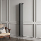 Aver-Growth- Traditional Vertical 1800x290mm 2 Columns Anthracite Cast Iron Radiator