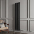 Aver-Growth- Traditional Vertical 1800x380mm 2 Columns Black Cast Iron Radiator