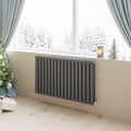 Aver-Growth- Designer Horizontal 600x1003mm Double Anthracite Oval Column Radiator