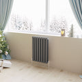Aver-Growth- Designer Horizontal 600x413mm Double Anthracite Oval Column Radiator